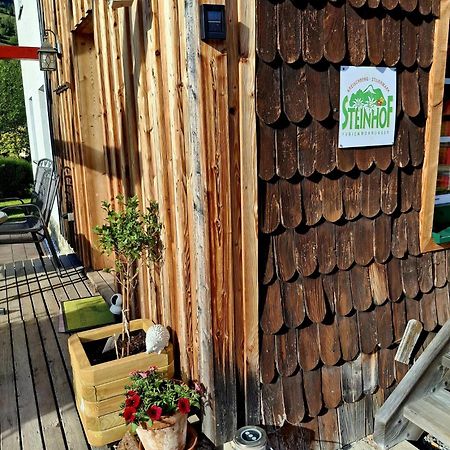 Willa Haus Steinhof St. Lorenzen ob Murau Zewnętrze zdjęcie