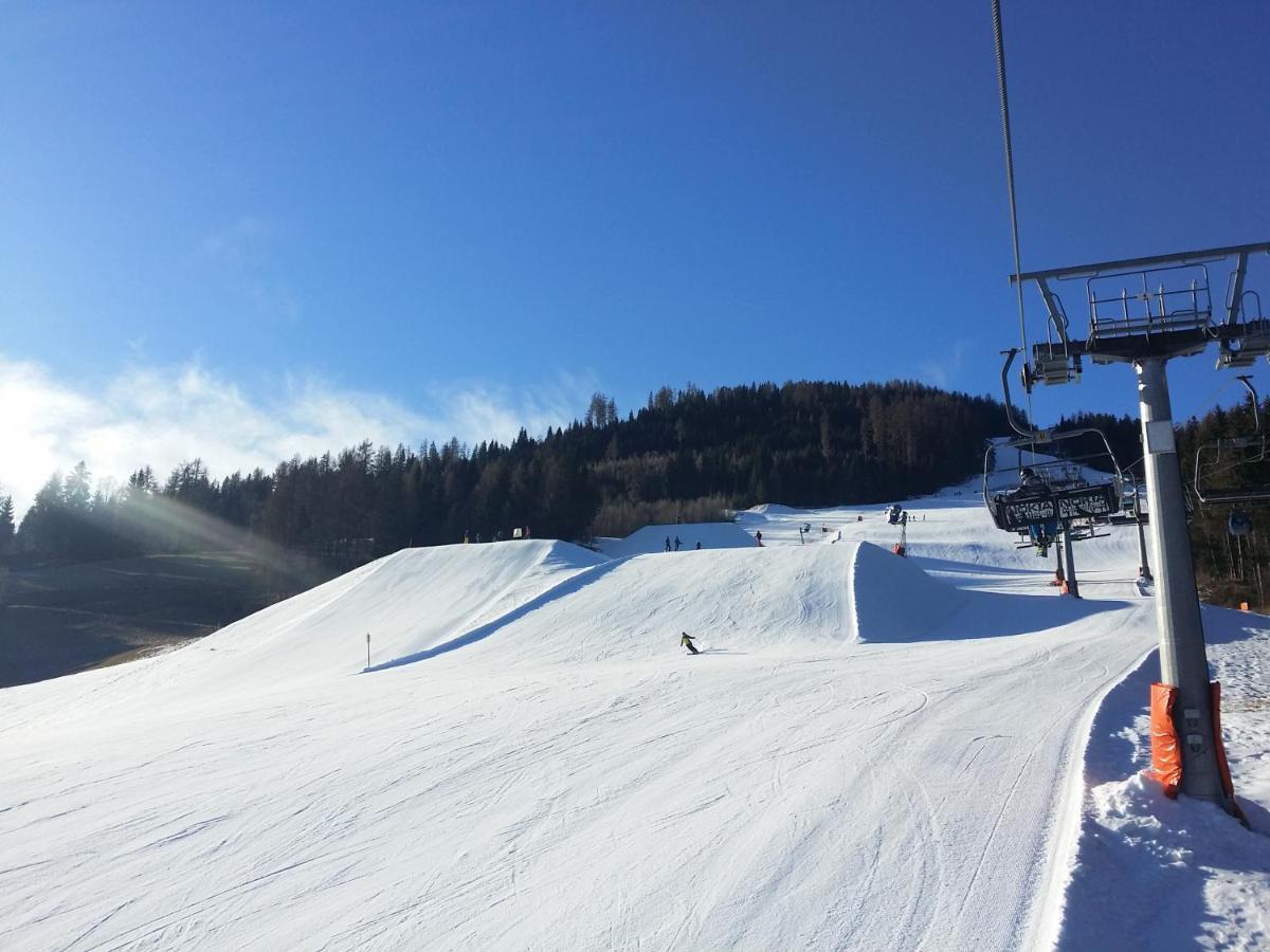 Willa Haus Steinhof St. Lorenzen ob Murau Zewnętrze zdjęcie