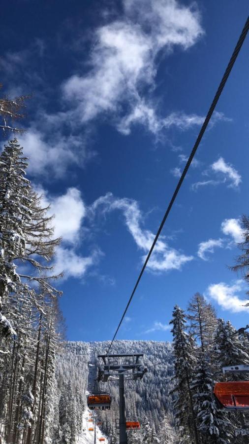Willa Haus Steinhof St. Lorenzen ob Murau Zewnętrze zdjęcie