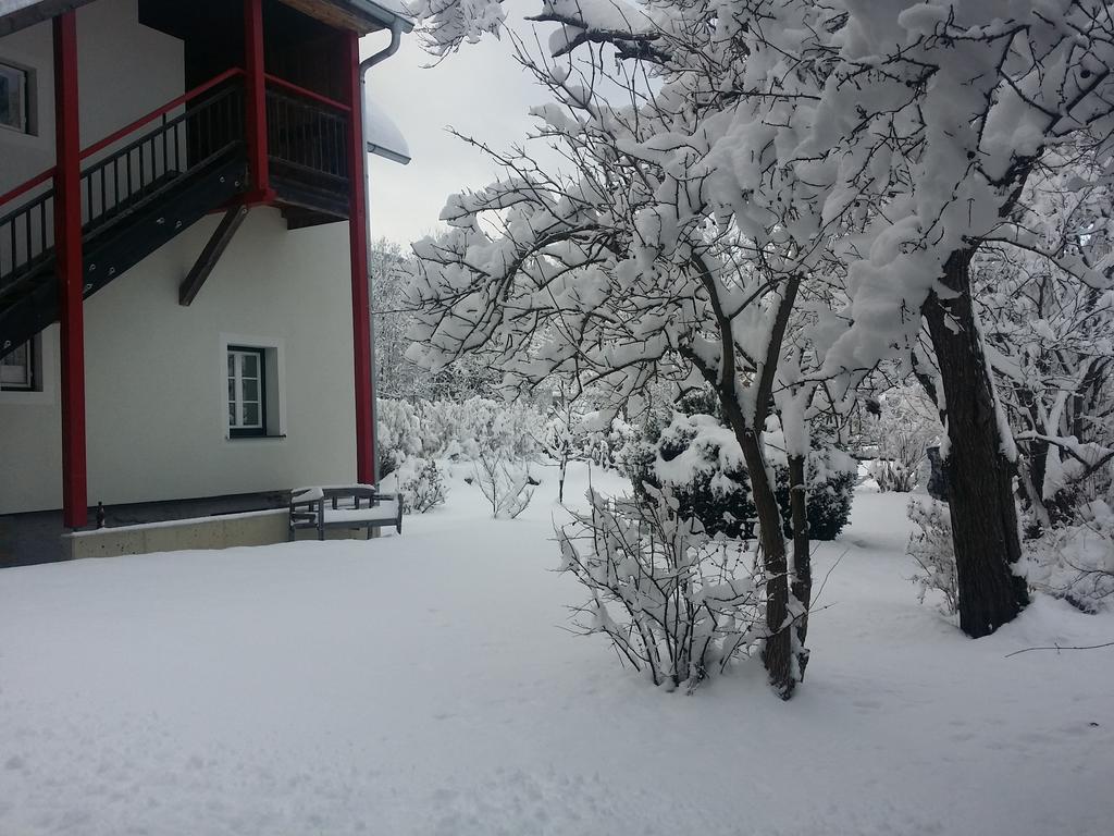 Willa Haus Steinhof St. Lorenzen ob Murau Zewnętrze zdjęcie