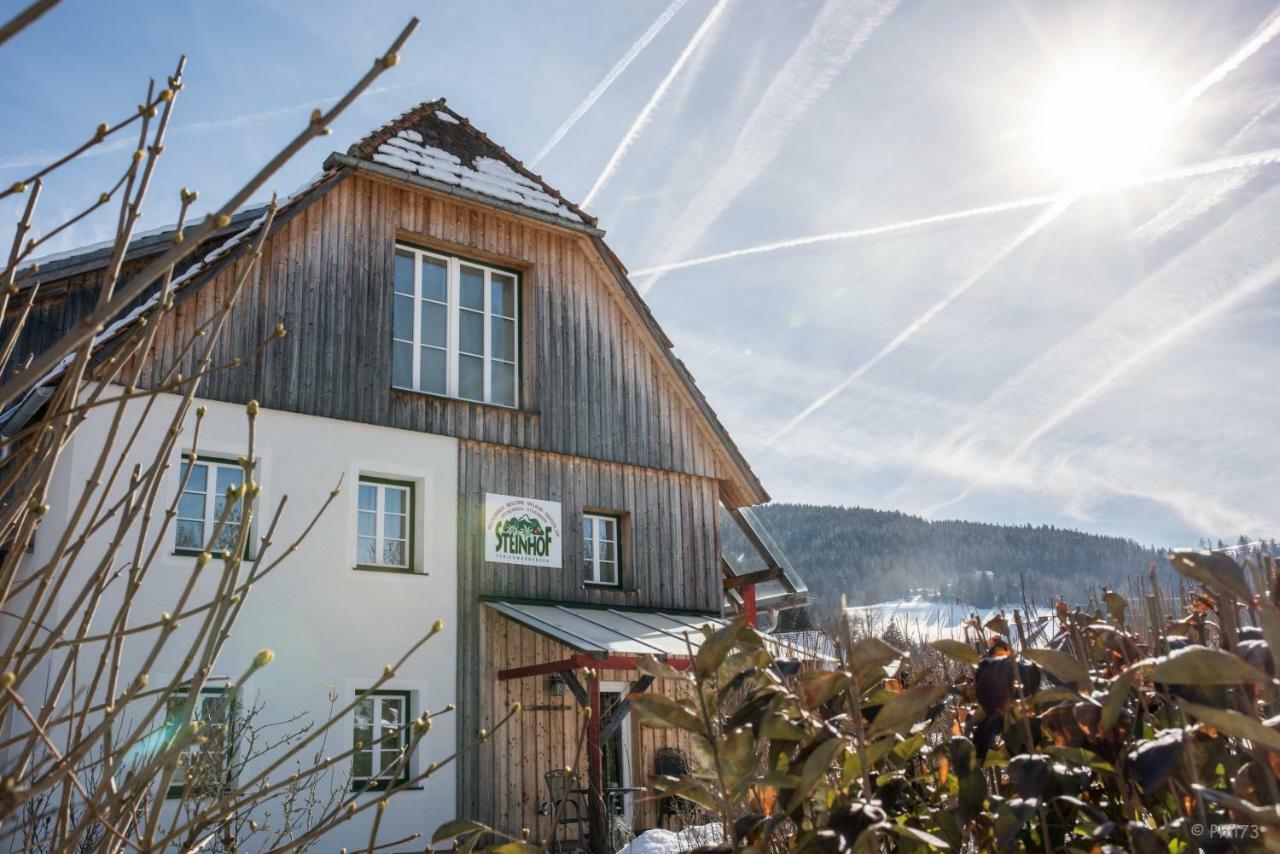 Willa Haus Steinhof St. Lorenzen ob Murau Zewnętrze zdjęcie