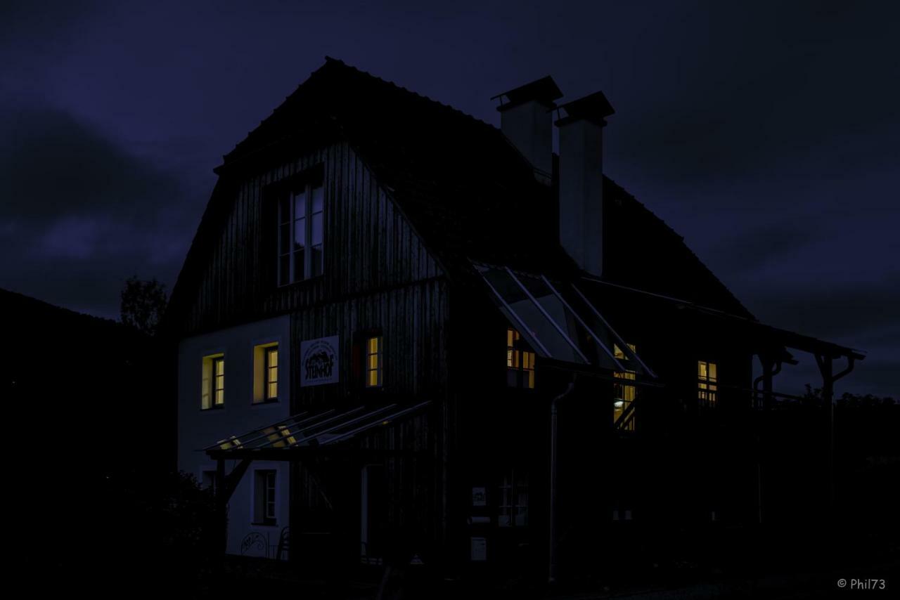 Willa Haus Steinhof St. Lorenzen ob Murau Zewnętrze zdjęcie