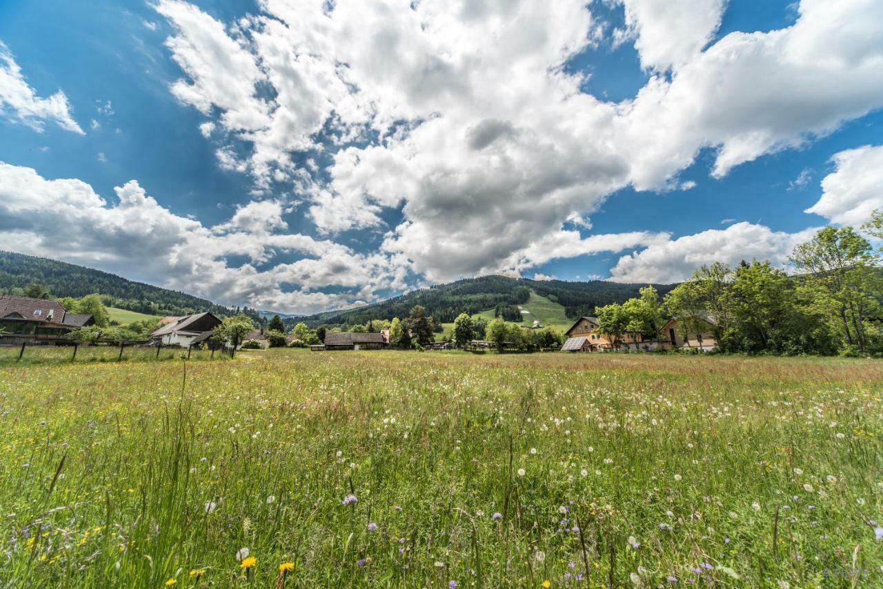Willa Haus Steinhof St. Lorenzen ob Murau Zewnętrze zdjęcie