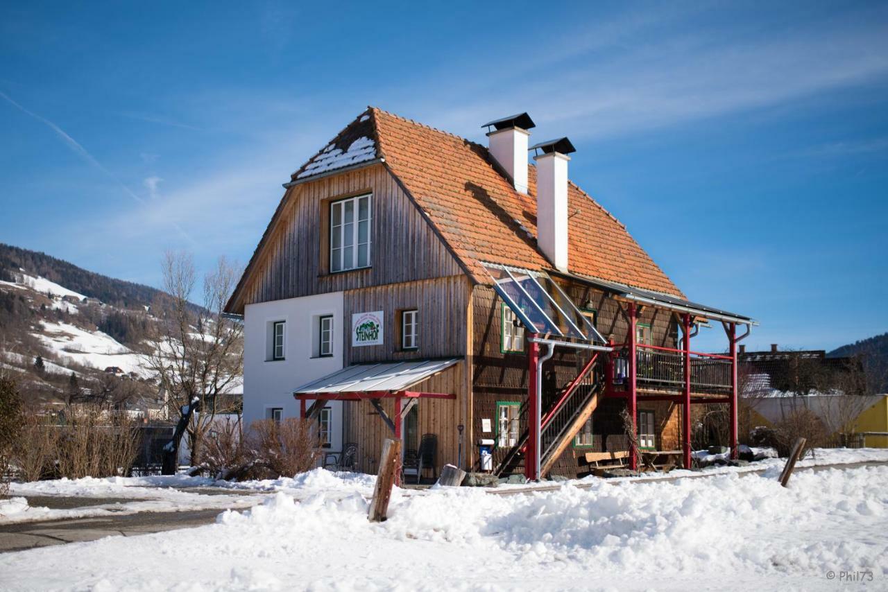 Willa Haus Steinhof St. Lorenzen ob Murau Zewnętrze zdjęcie